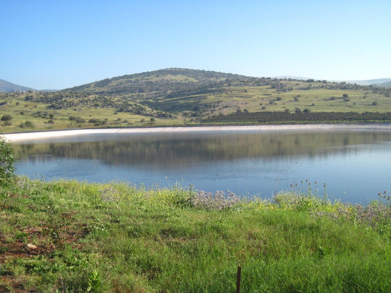 קובץ:מאגרלבנים.JPG