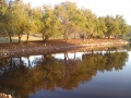 תמונה ממוזערת לגרסה מתאריך 16:50, 20 בדצמבר 2013