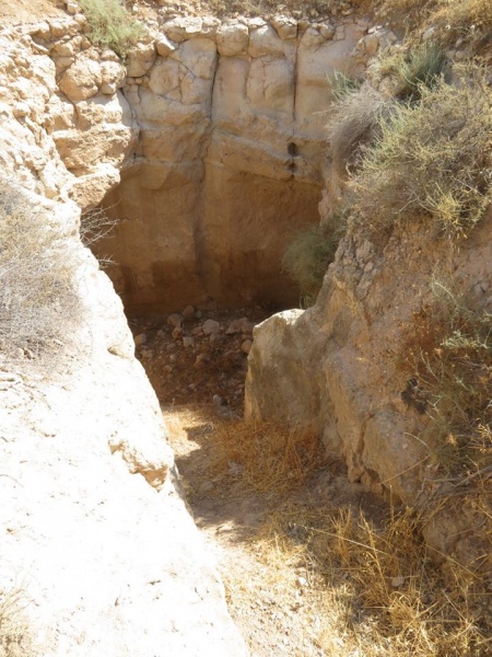 קובץ:מאגרתובורבש.jpg