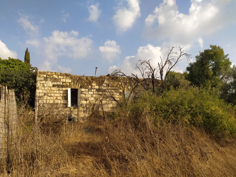 קובץ:מבנהבןנוןא.jpg