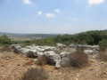 תמונה ממוזערת לגרסה מתאריך 12:42, 3 באוגוסט 2016