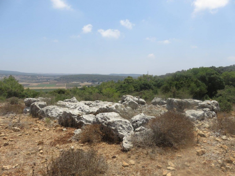 קובץ:מבנהמהרל.jpg