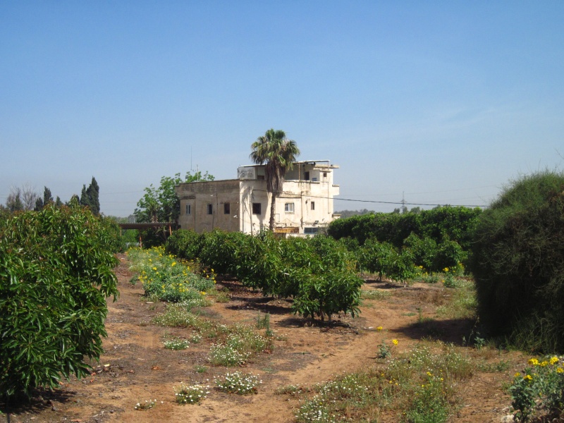 קובץ:מבנהשמורה.JPG