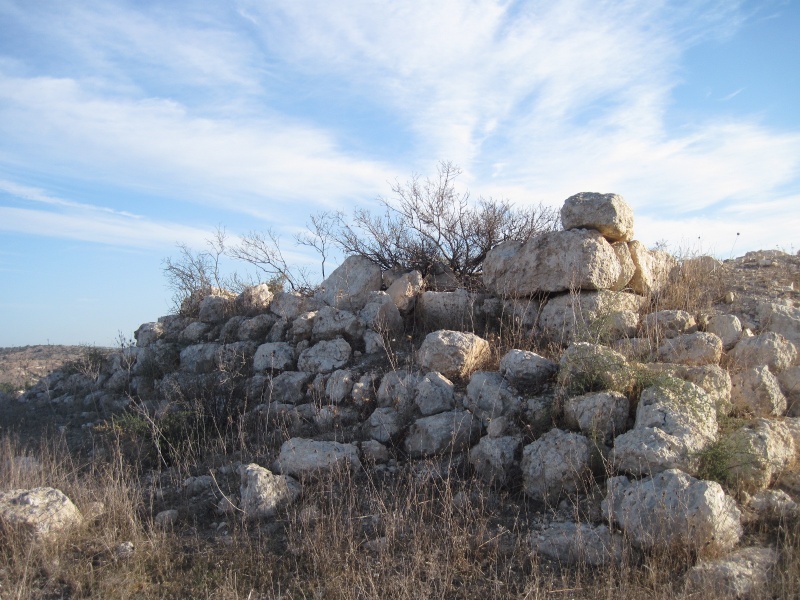 קובץ:מבנה מדורג.JPG