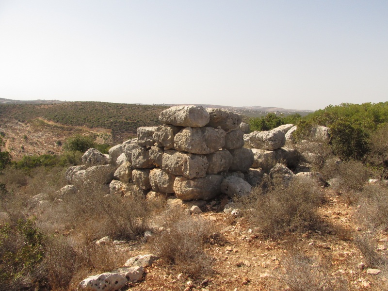 קובץ:מגדלייןג'.JPG