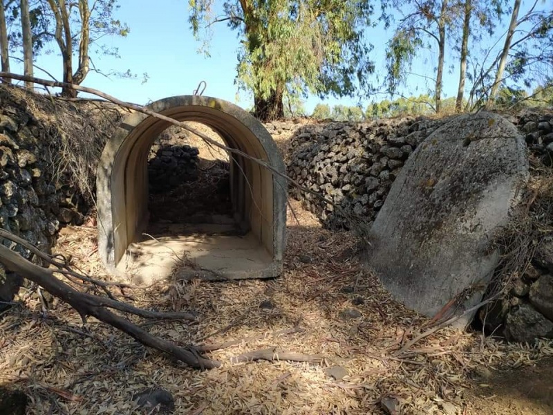 קובץ:מגנןבטון.jpg