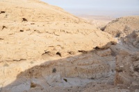 מדבר יהודה צפוני הצד המערבי של הורקניה 183.jpg