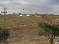תמונה ממוזערת לגרסה מתאריך 11:56, 17 בנובמבר 2011
