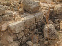 מחוות יישוב הדעת לייטב 041 (Medium) (Medium).jpg