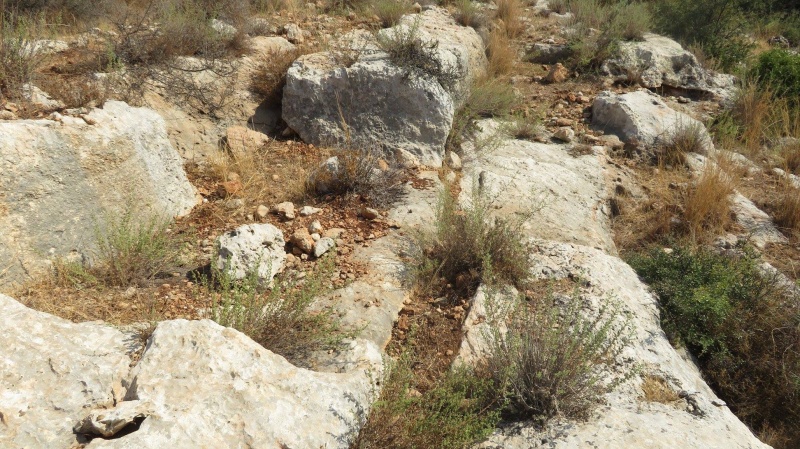 קובץ:מחצבהבלטה.jpg