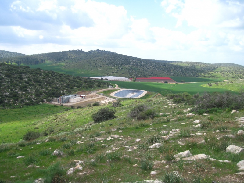 קובץ:מטשאמציה.JPG