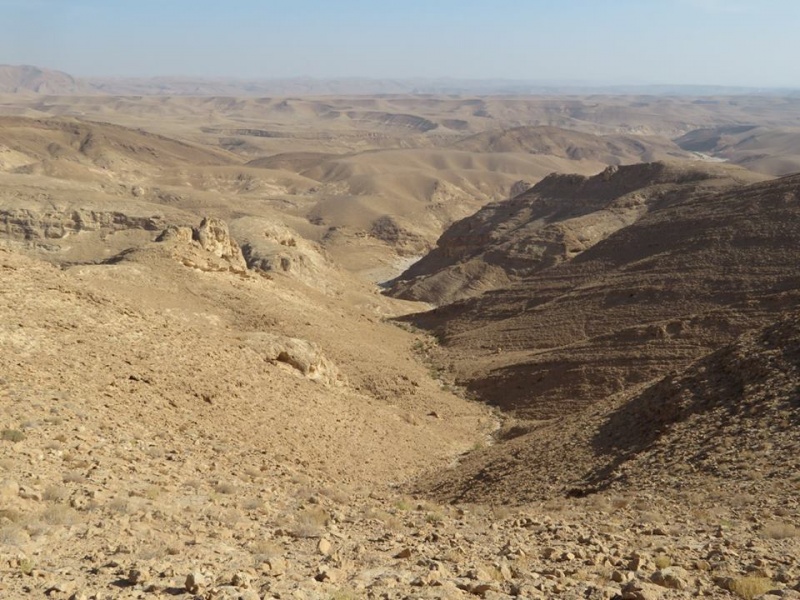 קובץ:מיכאלהר.jpg