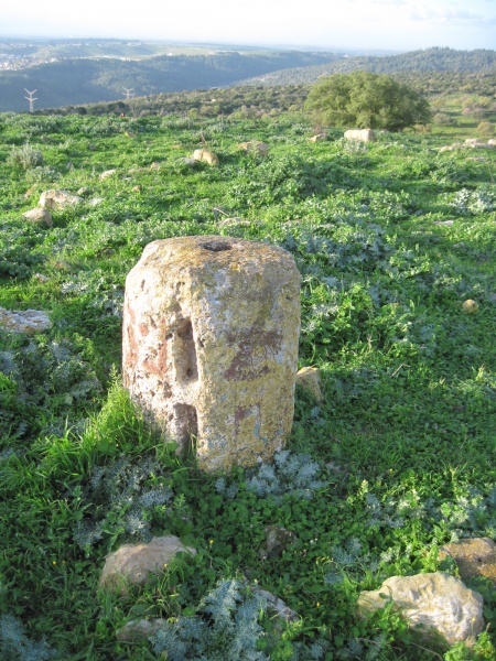 קובץ:מנצורה.JPG