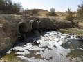 תמונה ממוזערת לגרסה מתאריך 17:27, 21 באוקטובר 2015