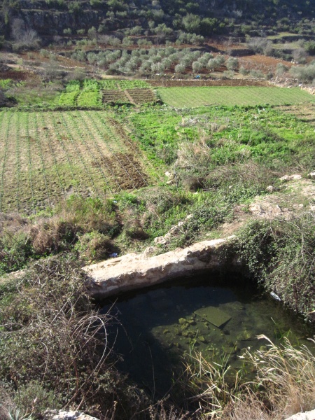 קובץ:מעייןללאשםביתר.JPG