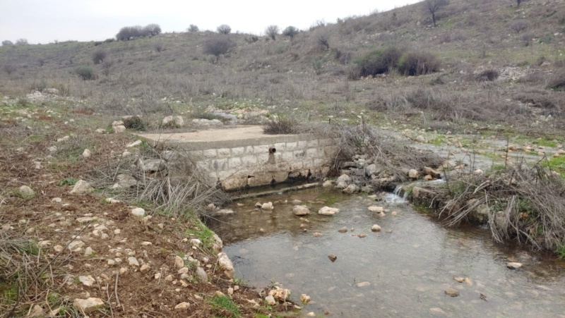 קובץ:מעיין טריטון קדש.jpg