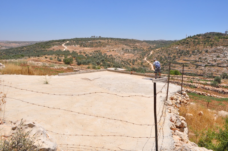 קובץ:מעיינות ממערב לסלפית 127.jpg