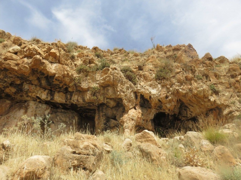 קובץ:מעראלעמרי.jpg