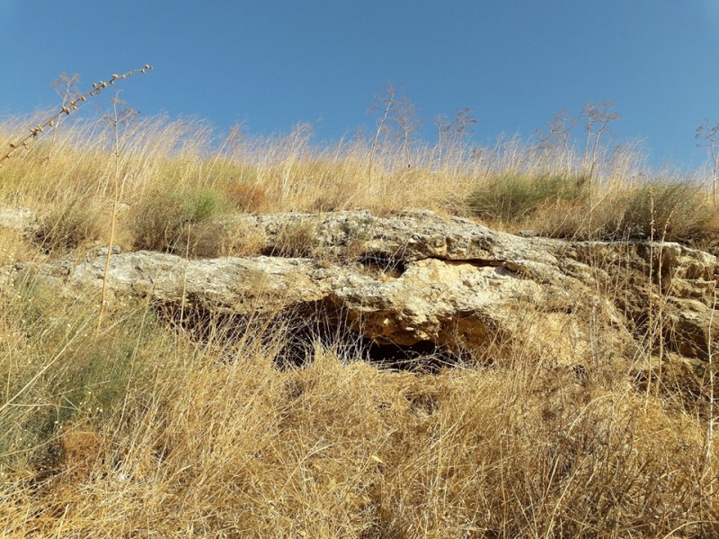 קובץ:מערונתערוץחפציבה.jpg