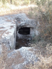 מערקבורמגדיו.jpg