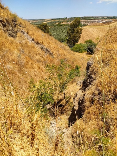 קובץ:מפלוןבזלתתבורדר.jpg