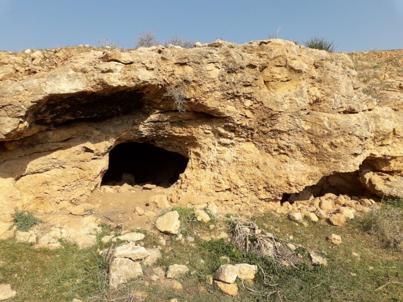 קובץ:מקבקעותב.jpg