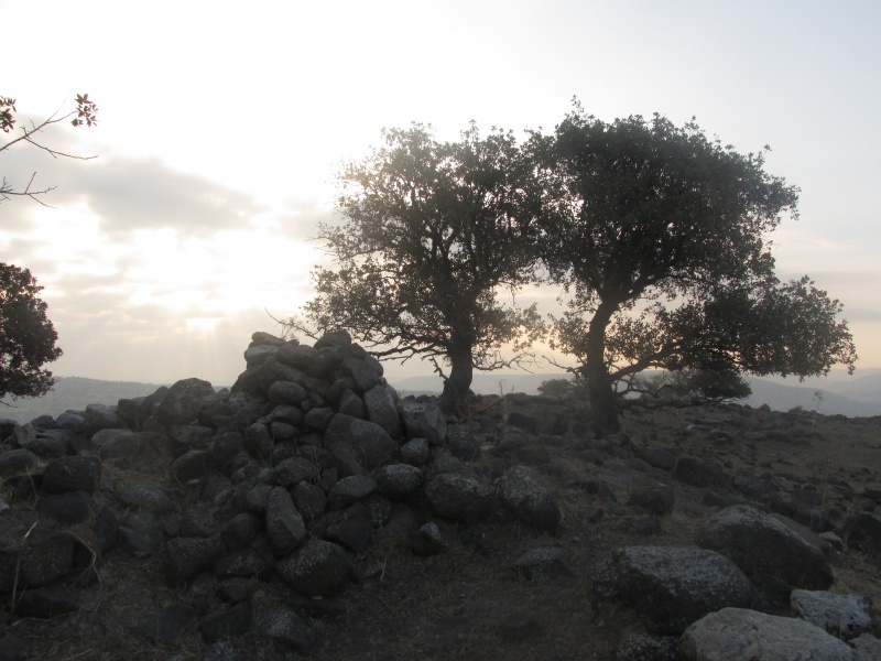 קובץ:מקםבריגע.JPG