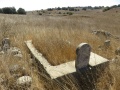 תמונה ממוזערת לגרסה מתאריך 06:25, 20 בספטמבר 2015