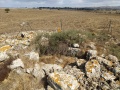 תמונה ממוזערת לגרסה מתאריך 12:45, 10 בספטמבר 2021