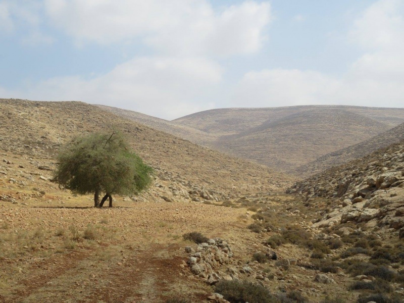 קובץ:נחלייטבעוגא.jpg