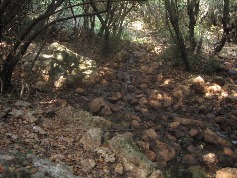 קובץ:נחל בירנית.jpg