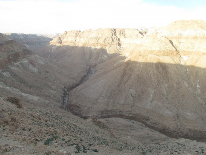 קובץ:נעמהצפון.jpg