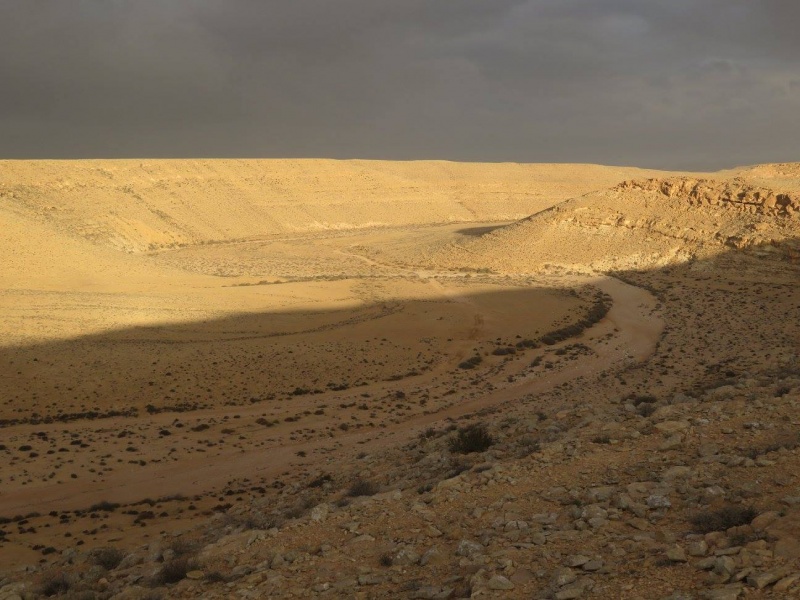 קובץ:נפתולציןמסעד.jpg