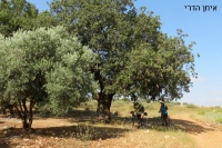 סובב תרדיון-סכנין-דיר חנא - 25.5.14 068.jpg