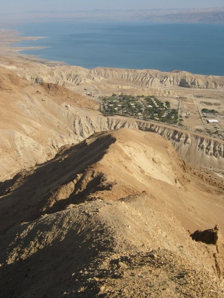 קובץ:סכיןחצצון.jpg