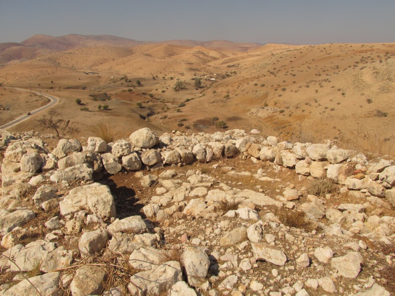 קובץ:סככתמשכיות.JPG