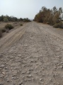 תמונה ממוזערת לגרסה מתאריך 18:52, 19 ביולי 2021