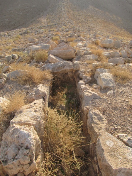 קובץ:ספוןסרטבה.JPG