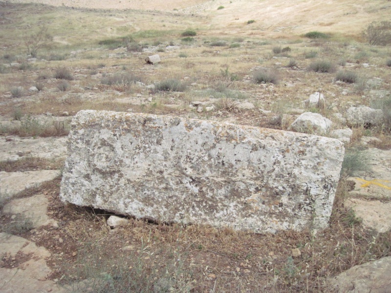 קובץ:סרקופגסווידה.JPG