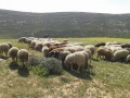 תמונה ממוזערת לגרסה מתאריך 11:00, 30 בדצמבר 2021