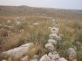 תמונה ממוזערת לגרסה מתאריך 05:15, 10 בספטמבר 2014