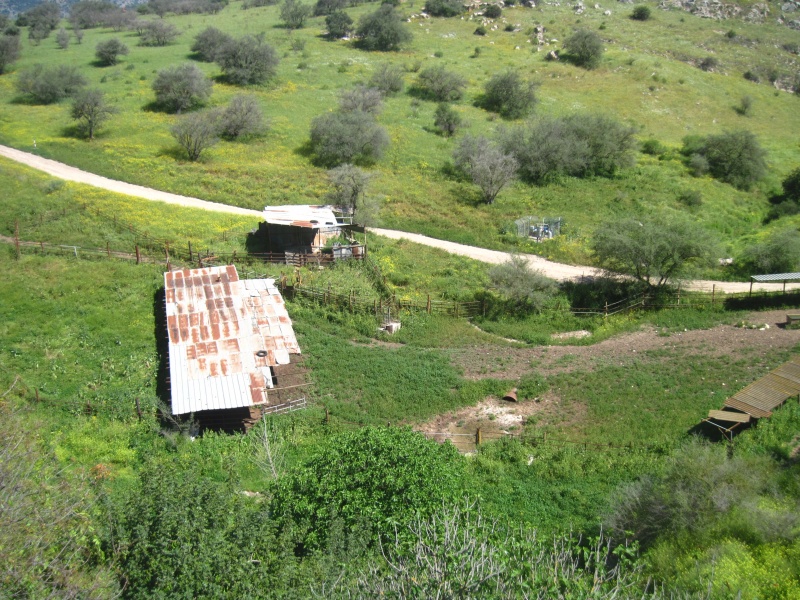 קובץ:עיןלבנים.JPG