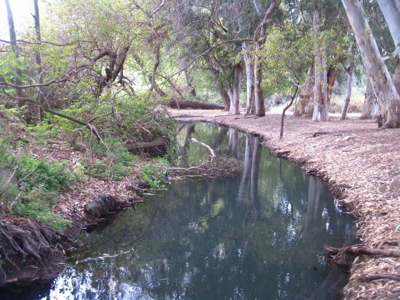 קובץ:עיןמחוללים.JPG