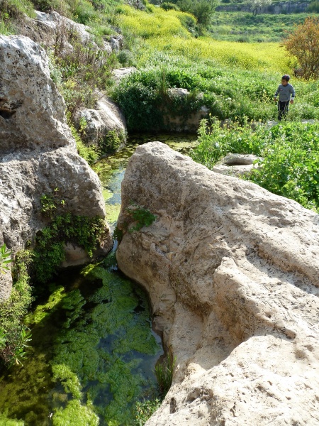 קובץ:עין ג'נן בוואדי ג'נן (2).JPG