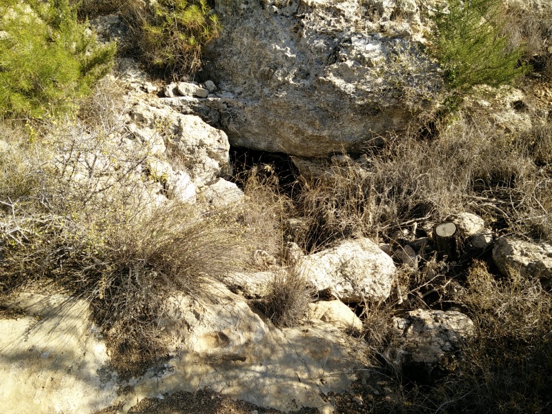 קובץ:עין הליאל עליון הפתח.jpg