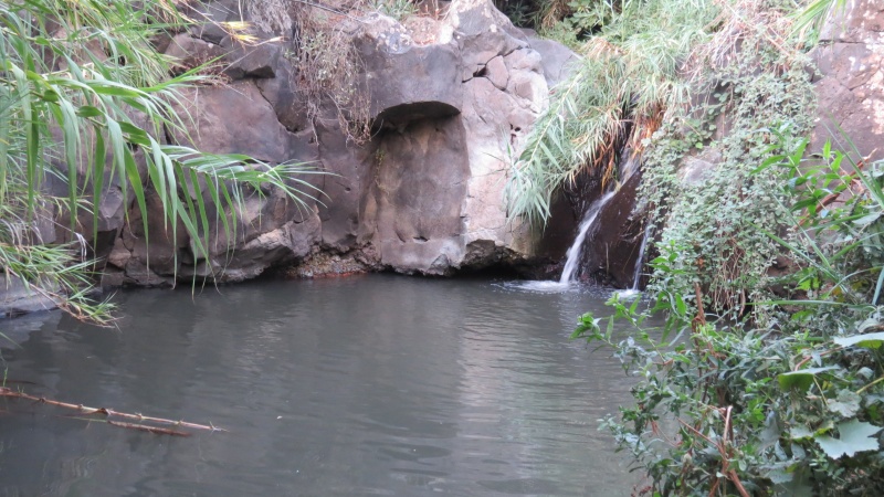 קובץ:עין זכרי (9).JPG