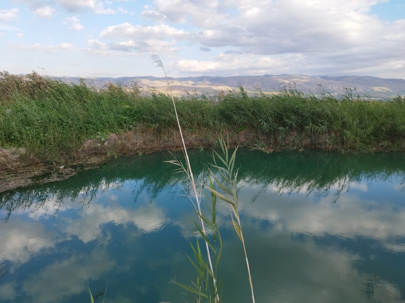 קובץ:עין זרד עמוד ענן.jpg