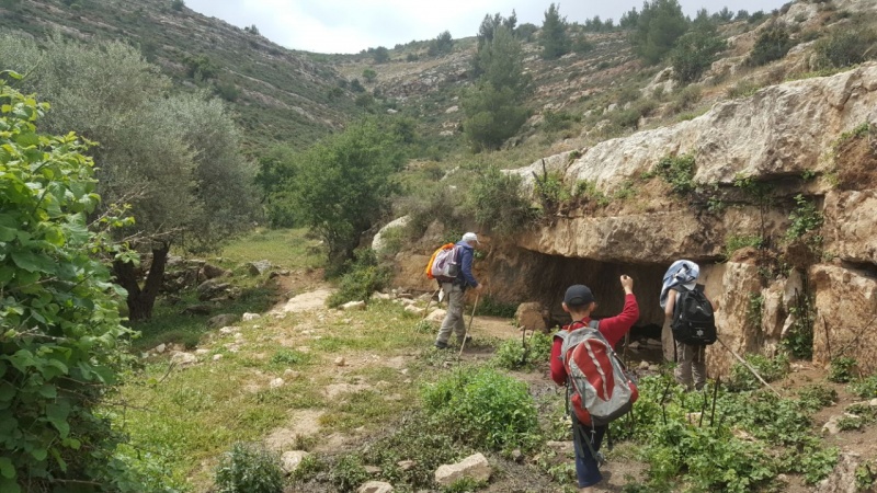 קובץ:עין לוזה.בחווה הצלבנית.חוהמפ תשעז 15.4.17.jpg