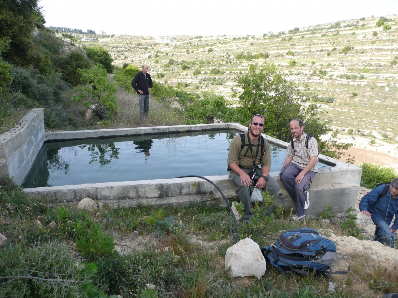 קובץ:עין מסאס דרומי (4).jpg