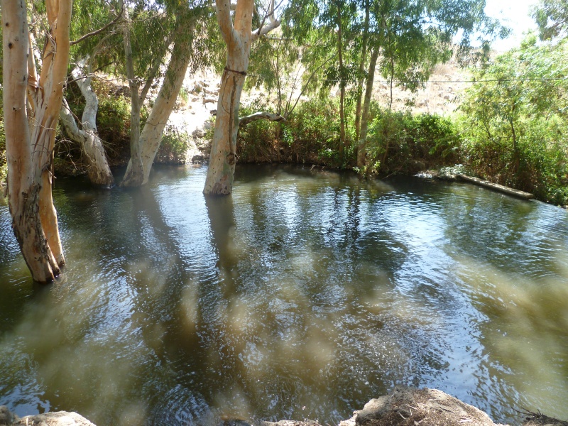 קובץ:עין תות.JPG